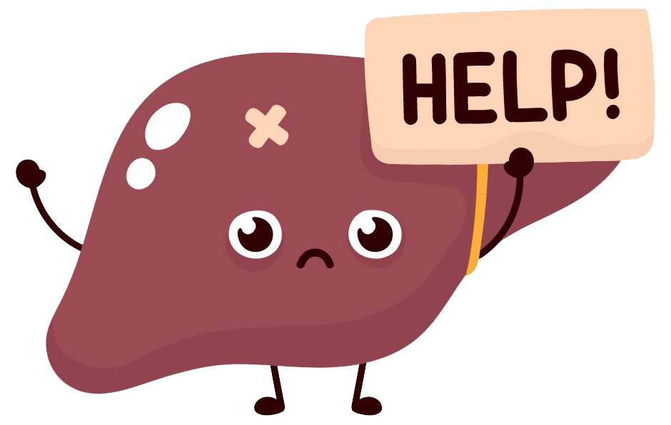 Fatty Liver Disease Fatty Liver Disease